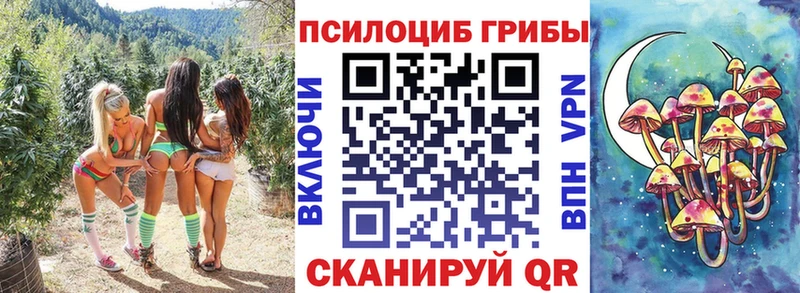 где продают наркотики  hydra как зайти  shop формула  Суджа  Псилоцибиновые грибы GOLDEN TEACHER 